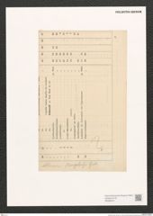 Diatomeae indet. (de-Toni-Nr.: Genus 452) Zeichnungen Sammlung Grunow (NHMW-BOT-W0368431)